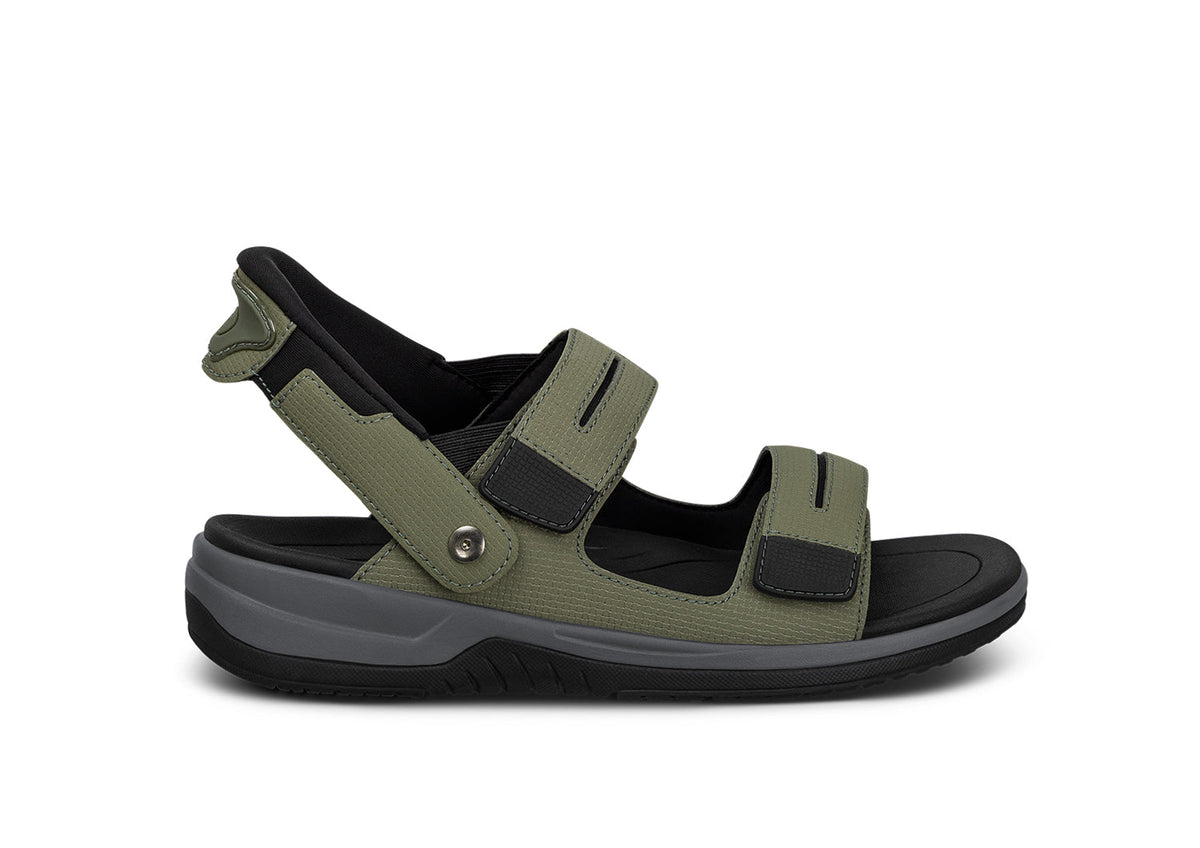 Neptune - Olive