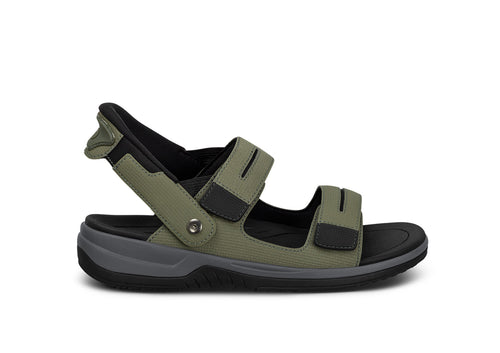 Neptune - Olive